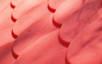 Lower Nyland plastic roof costs