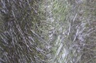 Lower Nyland fibreglass roof work