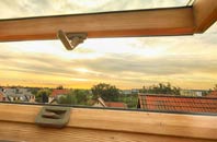 rated Lower Nyland roof window companies